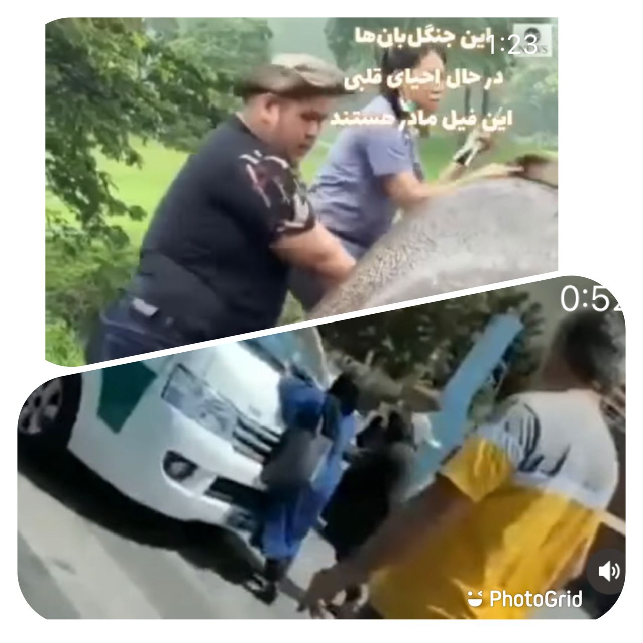 بی احترامی به مقام یک مادردر یک کشور اسلامی